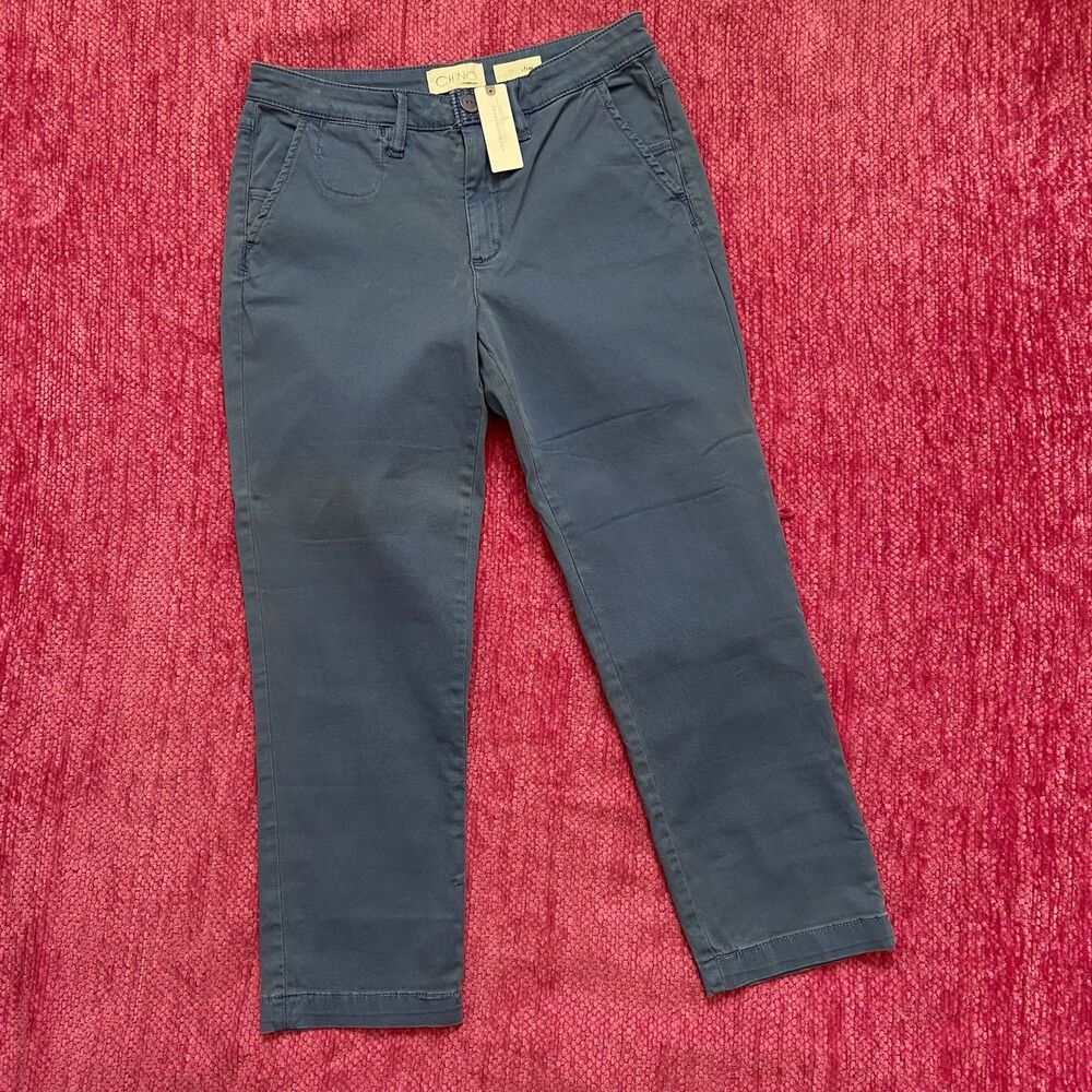 Anthropologie Chino Pants Slim Fit Cropped Sapphire Blue Size 27